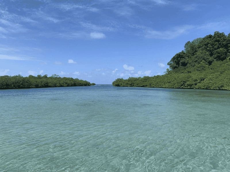 Billet Excursion d'une journée à Portobelo – Plages et forts de pirates
