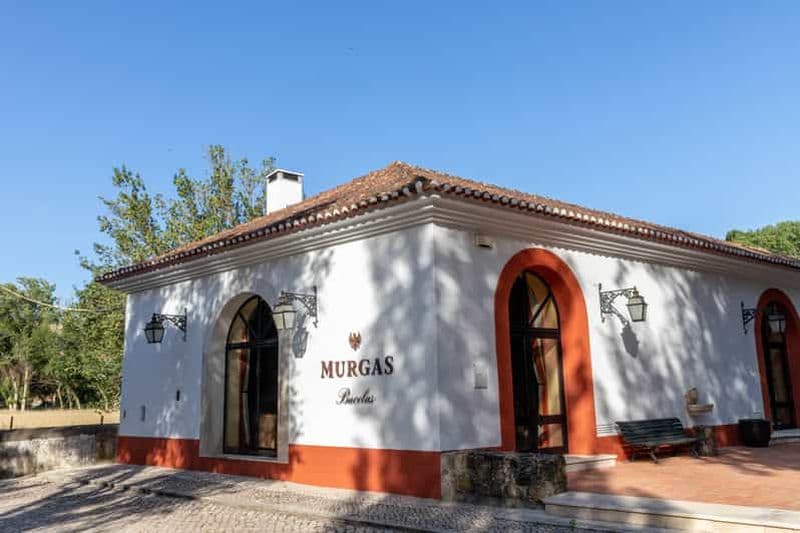 Quinta das Murgas : Visite de dégustation de vins