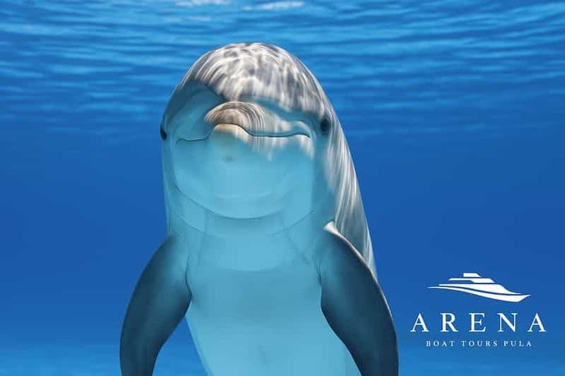 Pula : Observation des dauphins à Brijuni, croisière au coucher du soleil, dîner et boissons