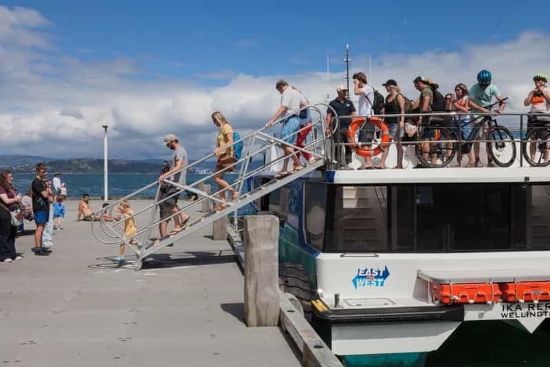Billet Wellington : Excursion aller-retour en ferry jusqu'à Days Bay
