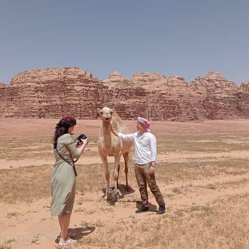 Wadi Rum : balade à dos de chameau avec dégustation de thé traditionnel