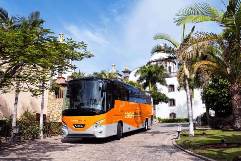 Aéroport de Tenerife Sud : Transfert en bus vers Puerto de la Cruz
