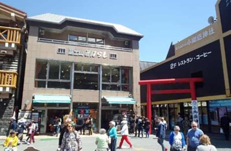 Billet Depuis Shinjuku：Mount. Fuji et cueillette de pêches visite en bus d'une journée