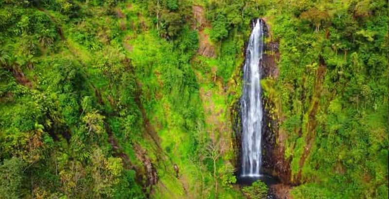 Billet Arusha : Excursion d'une journée aux chutes d'eau du Mont Meru avec déjeuner