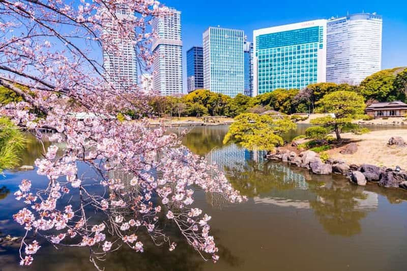 Billet Tokyo : Visite à pied des jardins japonais avec thé et sucreries