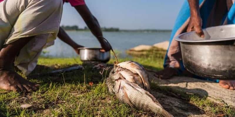Billet Yala : Pêche dans les lacs et repas dans les villages !