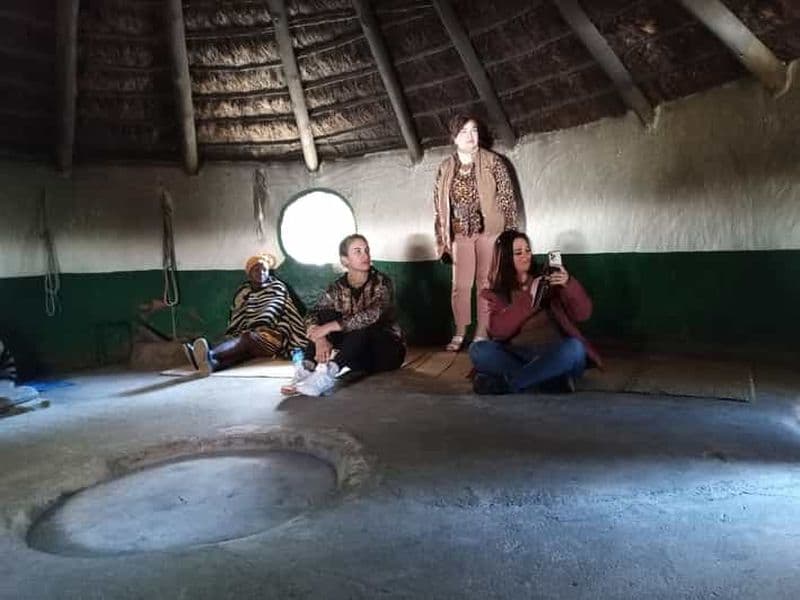 Billet Depuis Johannesburg : Village culturel de Lesedi et visite du parc des lions