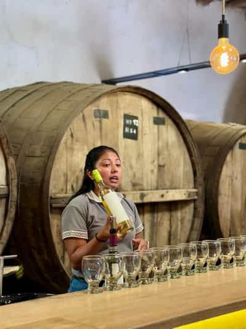 Billet Cafayate : visite d'une journée complète des caves et dégustation de vins