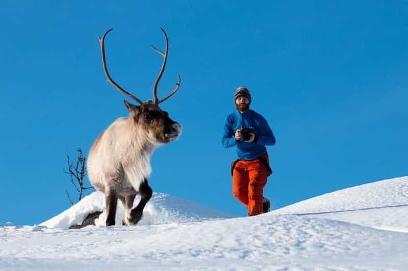 Tromsø : excursion dans la nature arctique avec photos et déjeuner pittoresque