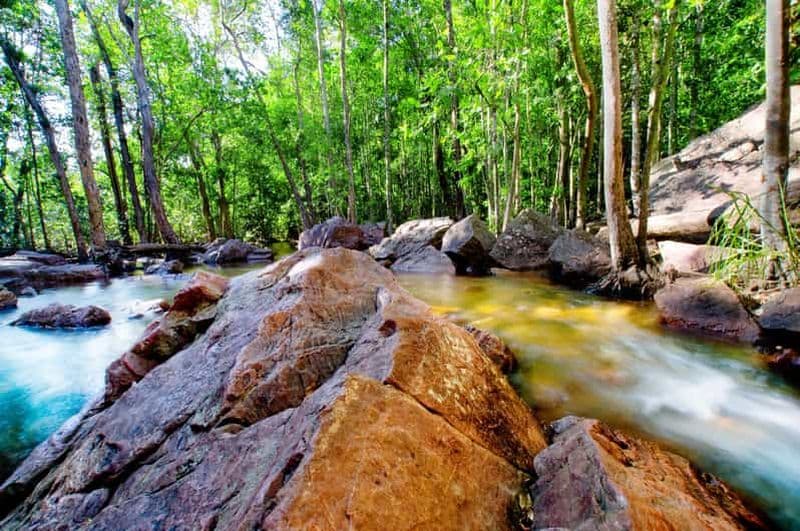 Billet Darwin : escapade privée au parc subtropical de Litchfield