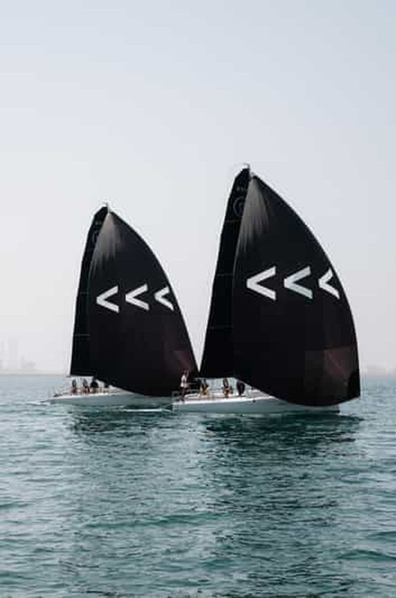 Le vent se lève : expérience de voile