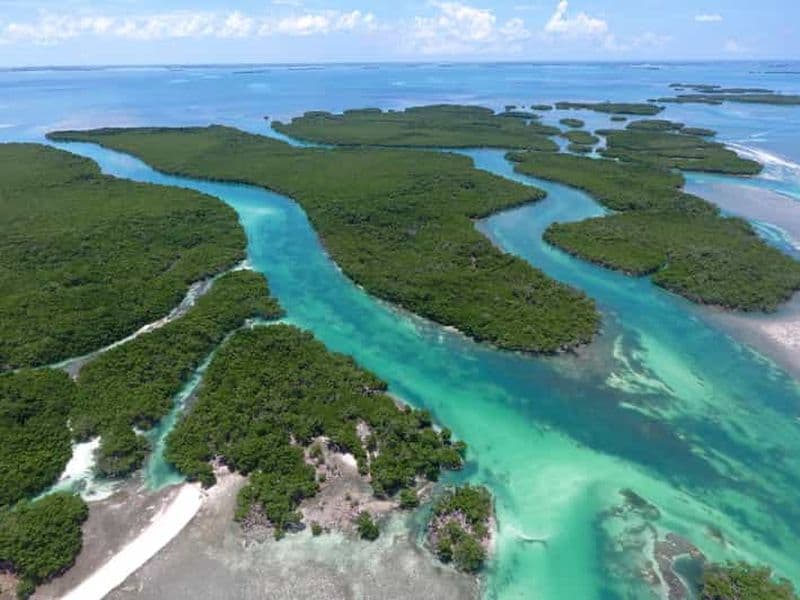 Billet Key West : Eco Safari Sandbar Tour avec plongée en apnée