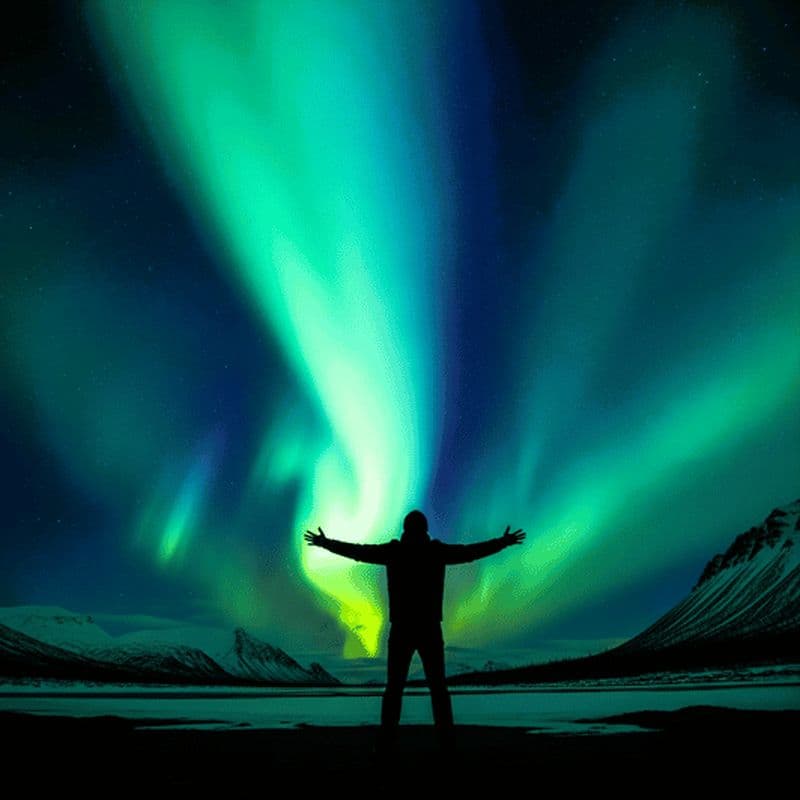 Billet Tromsø : une histoire de survie des Samis et une chasse aux aurores boréales