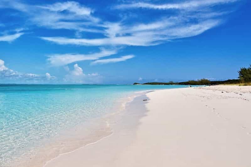 De Nassau : Cochons nageurs d'Exuma, requins et autres