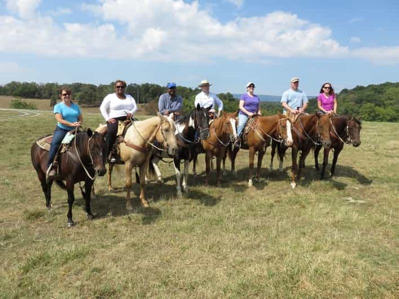 Agadir : Randonnée à cheval guidée le long de la rivière des Flamants avec thé