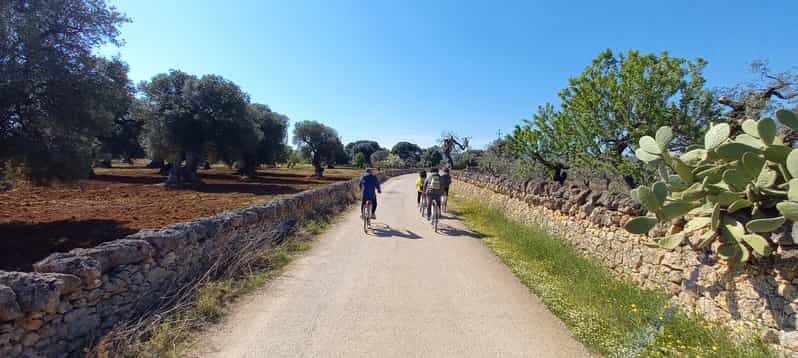 Circuit à vélo dans la campagne de Monopoli