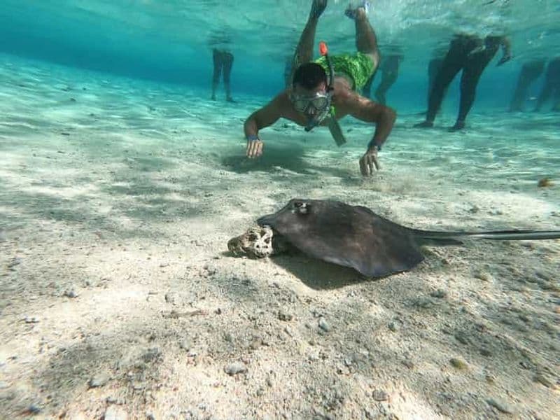 Billet SAN ANDRES : EXCURSION DE PLONGÉE AVANCÉE DE 2 HEURES + ARRÊT DANS LA ZONE CORALLIENNE