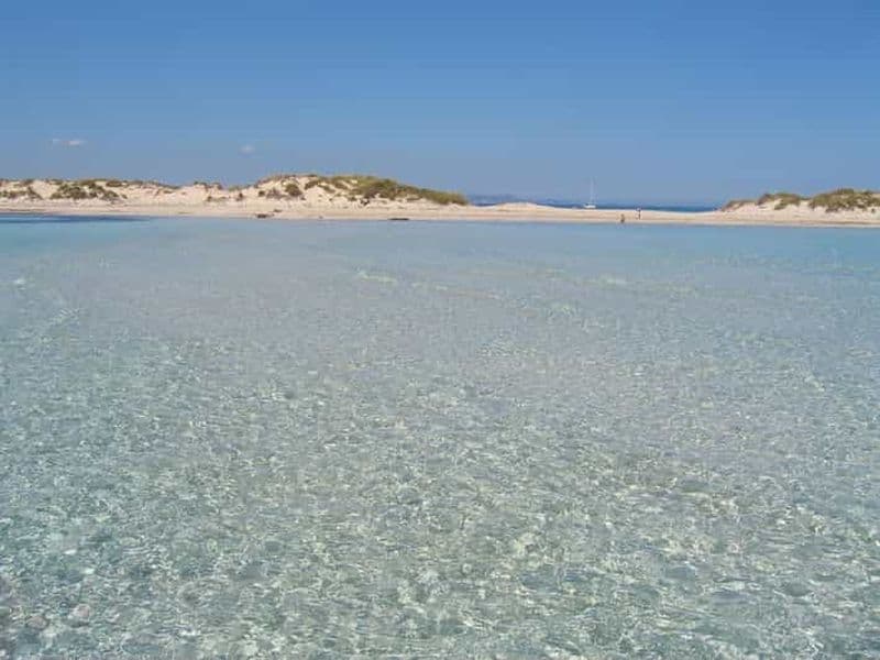 Billet VISITE DE L'ESPALMADOR DE 9H45 À 15H45