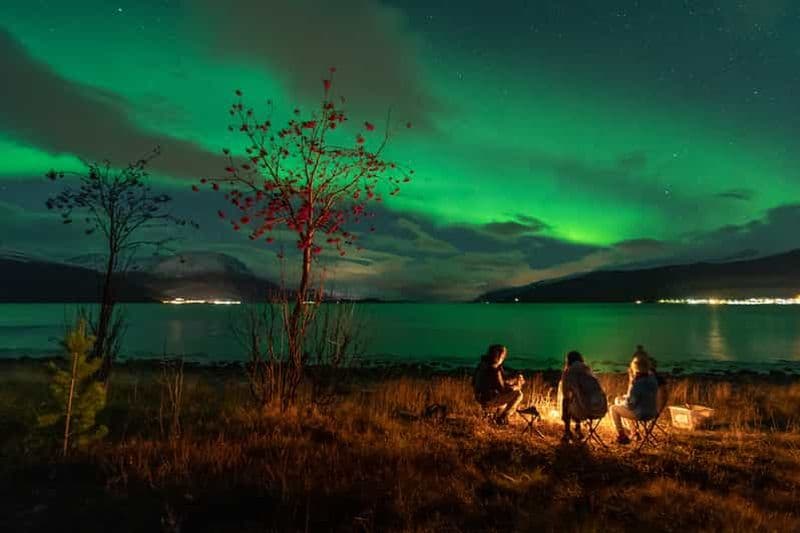 Billet Tromsø : chasse aux aurores boréales avec photos et repas chaud