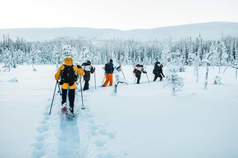 Billet Särna : randonnée guidée dans le parc national de Fulufjället avec déjeuner