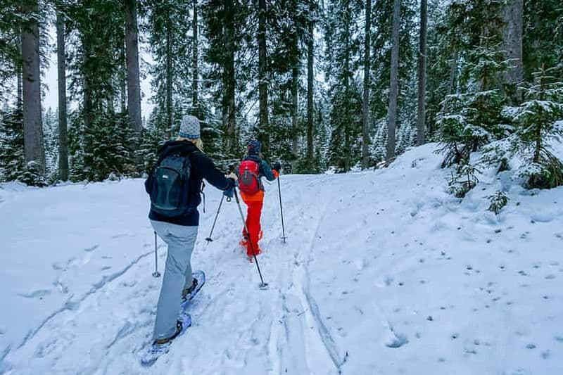 Billet Randonnée en raquettes dans le parc national de Triglav