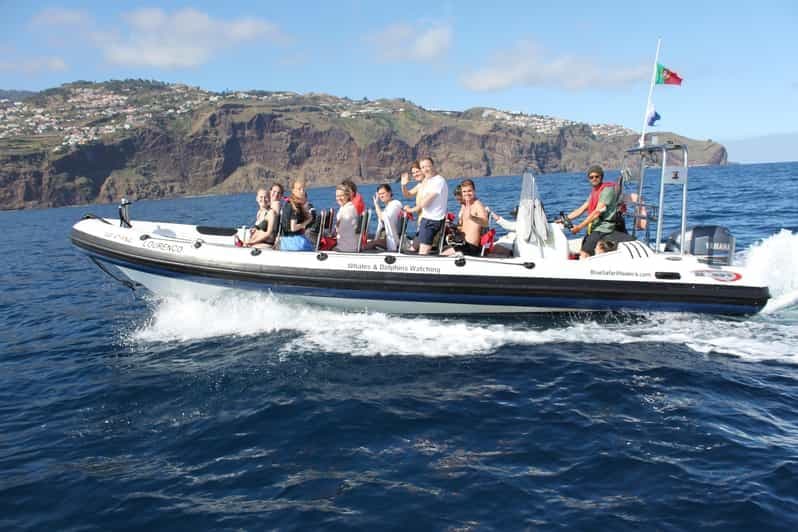 Au départ de Funchal : Aventure avec les baleines et les dauphins