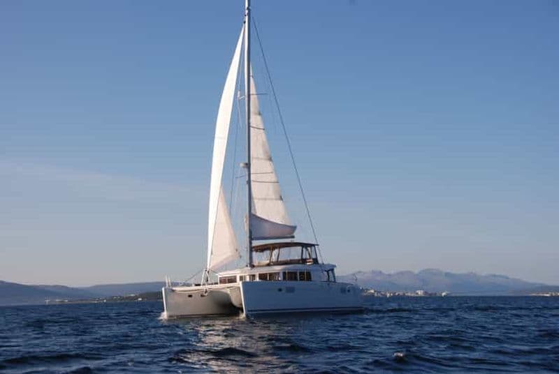 Tromsø : Croisière de luxe en catamaran dans les fjords et les îles
