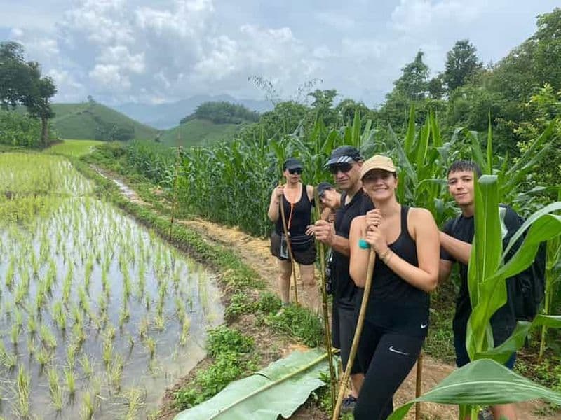 Trekking à Chiang Rai : 4 villages de tribus des collines et chute d'eau à pied seulement