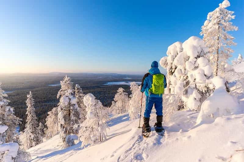 Rovaniemi : Aventure de randonnée et de raquettes en Laponie