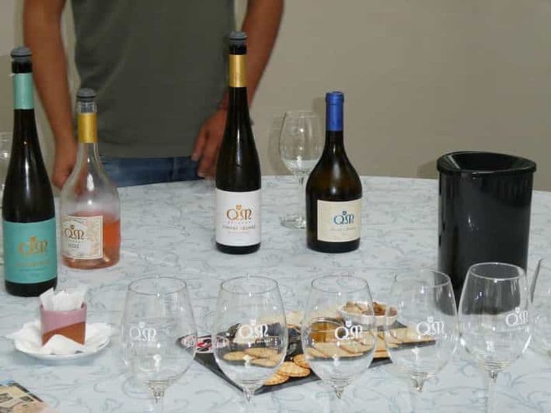 Billet Au départ de Porto : visite privée œnologique et gastronomique dans la région du Vinho Verde