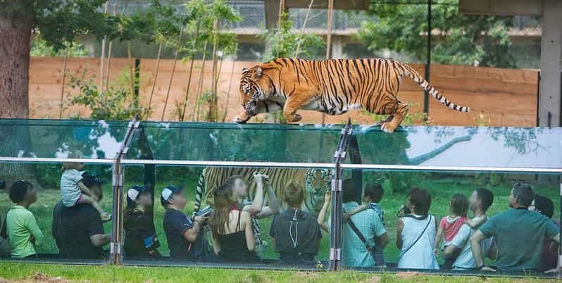 Paris : Visite privée du château de Thoiry et du parc safari