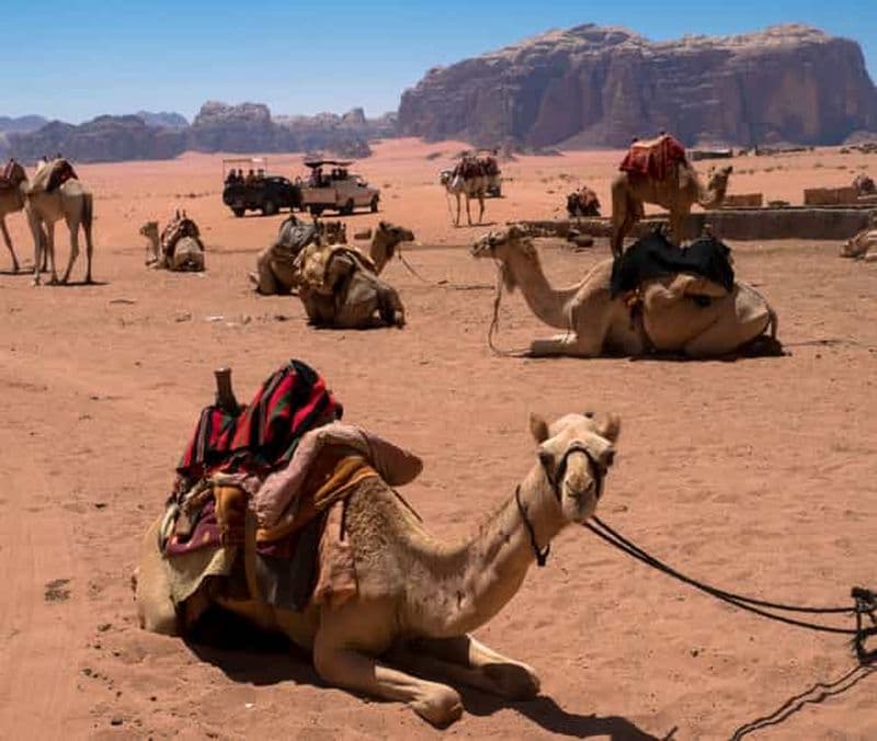 Aqaba : Visite privée du Wadi Rum avec safari en jeep et dîner
