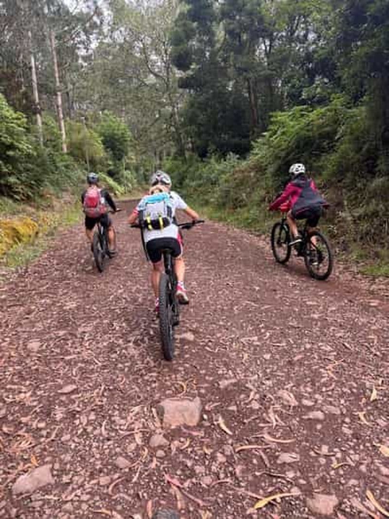 Billet Madère : aventure à vélo sur la côte nord