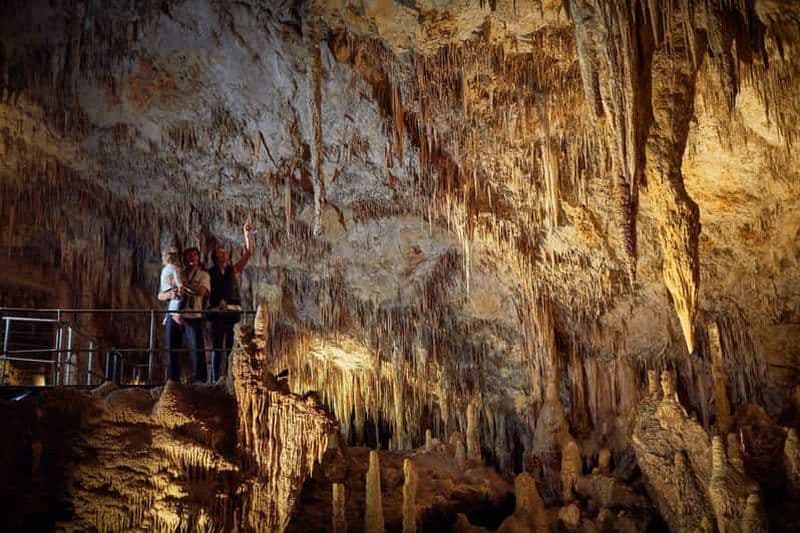 Billet Margaret River : Visite audioguide autonome de la Mammoth Cave