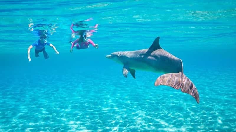 Hurghada ou Makadi : Découvrez la magie de Dolphin House