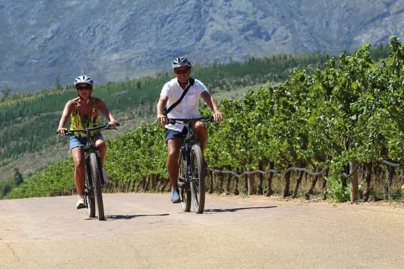 Stellenbosch: visite guidée en vélo électrique de la ferme viticole