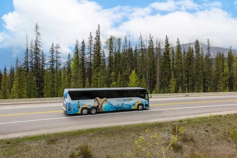 Billet Depuis Calgary : Transfert en bus vers Banff