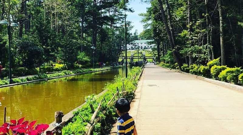 Sous les pins de Baguio : une balade à cheval classique