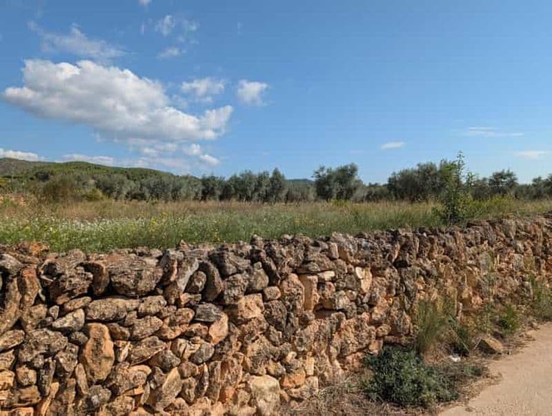 Billet Barcelone : visite d'un moulin à huile et excursion à Sitges