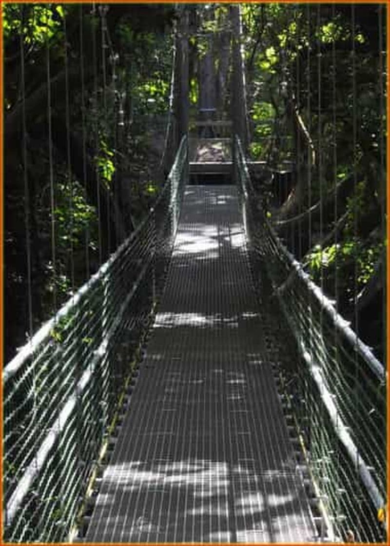 Billet Île de Roatan : Visite d'une demi-journée à pied, en tyrolienne et sur la plage