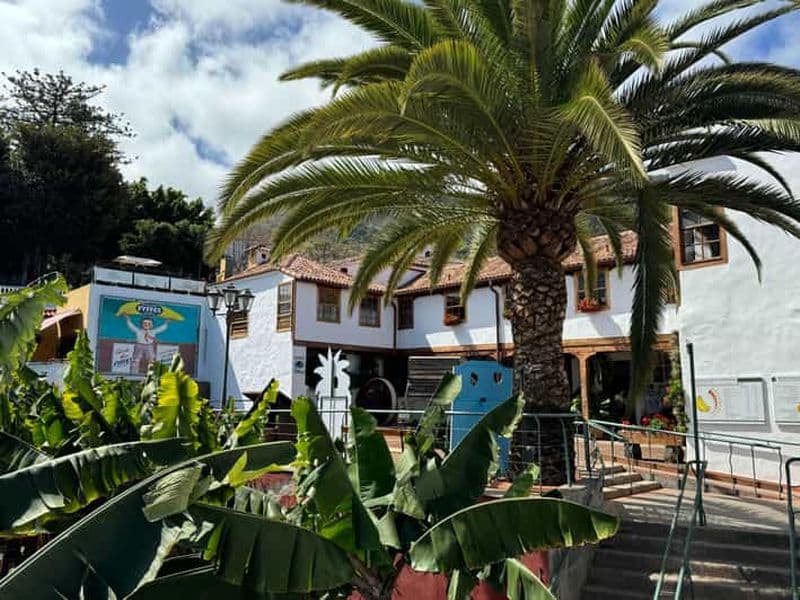 Billet Icod de los Vinos : Casa del Plátano billet d'entrée