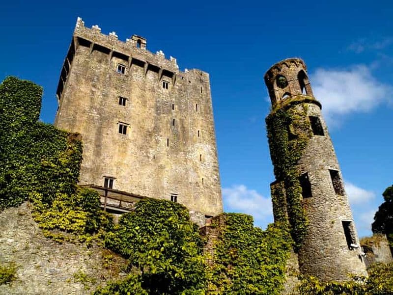 Visite d'une jounée du château de Blarney au départ de Dublin