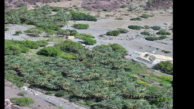 Randonnée guidée en montagne : plateau de Sayq et descente par l'oued Muaydin
