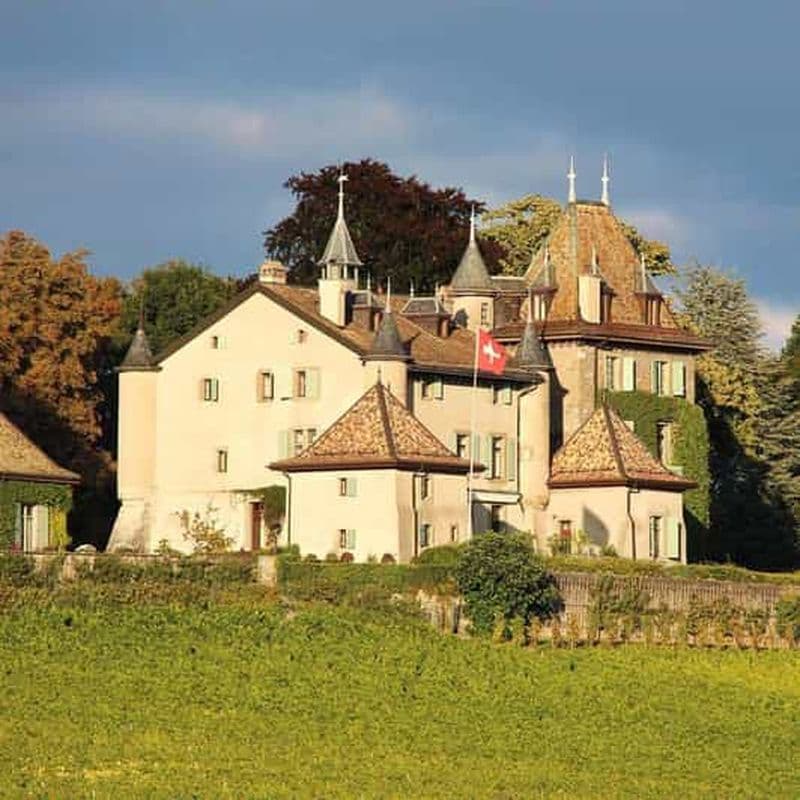 Genève : campagne en vélo électrique avec dégustation de vin ou musée