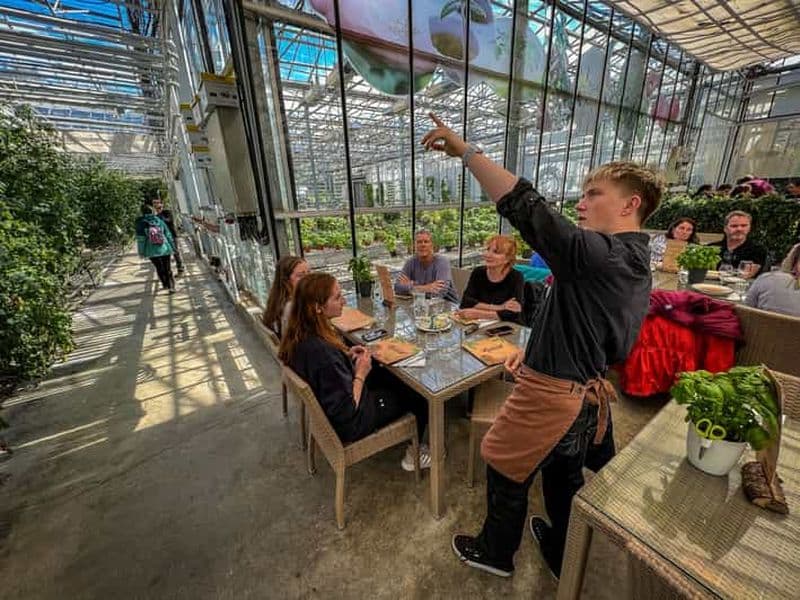 Billet Cercle d'or et déjeuner à la ferme de tomates de Fridheimar, avec photos