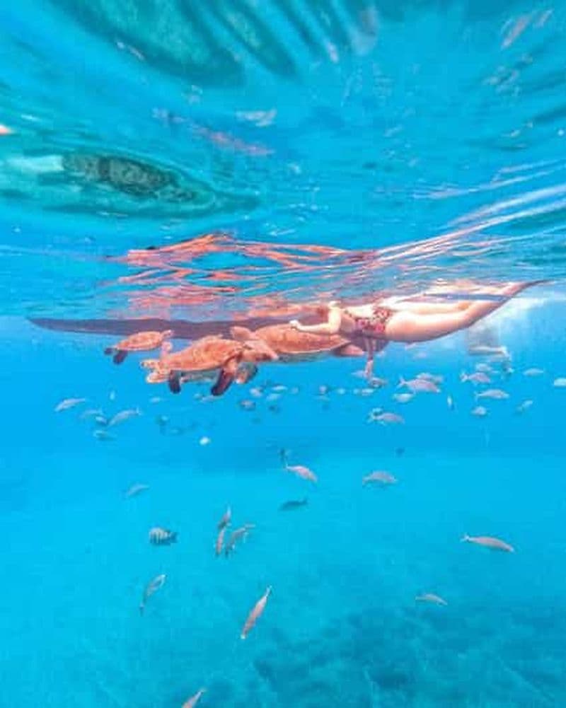 Billet Au départ de Mindelo : plongée avec tuba et nage avec les tortues de mer