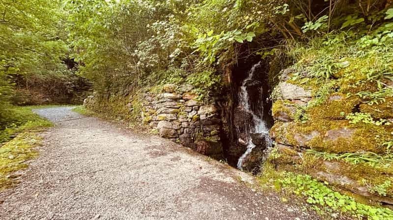 Billet Via Cook, gorges escarpées et déjeuner