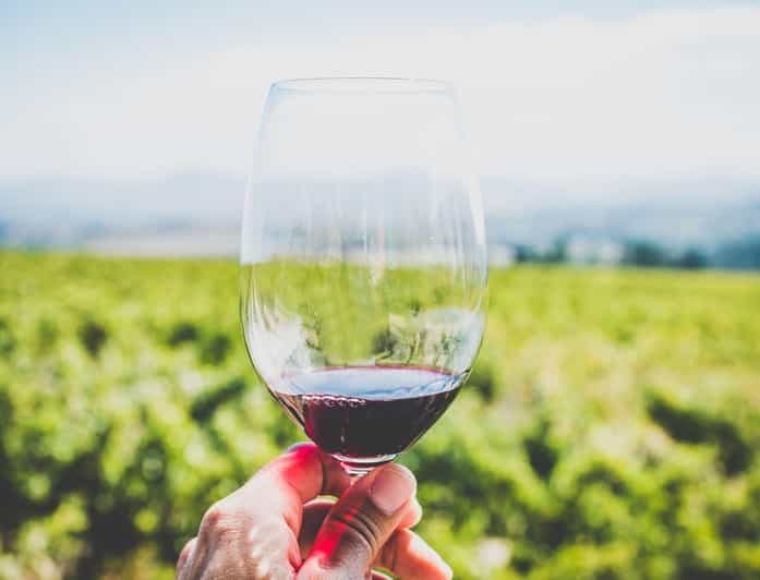 Sardaigne : Dégustation de vin et visite du village de Nuragic à Alghero