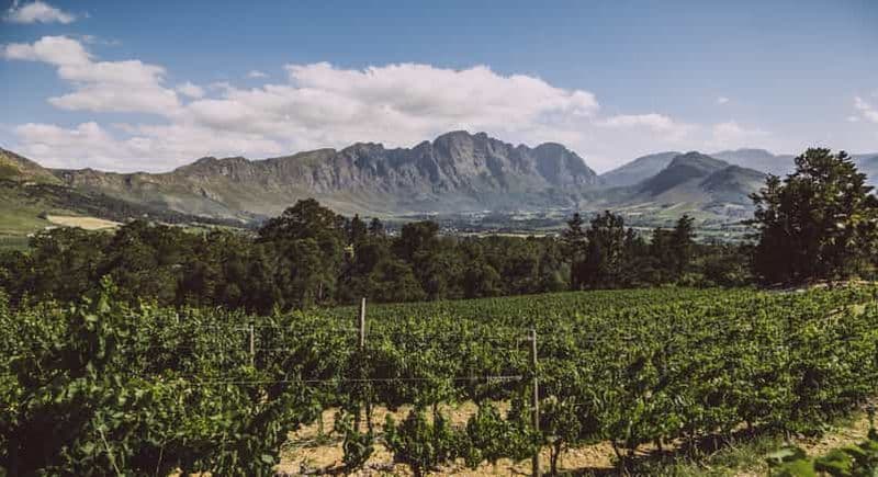 Billet Le Cap : Visite guidée des vignobles et dégustation à Stellenbosch