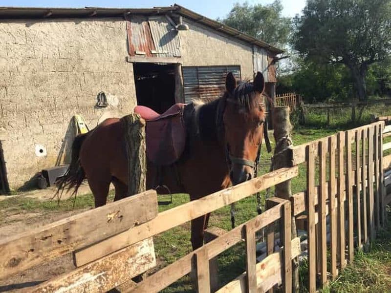 Au départ de Tropea : balade à cheval avec pique-nique à Francica